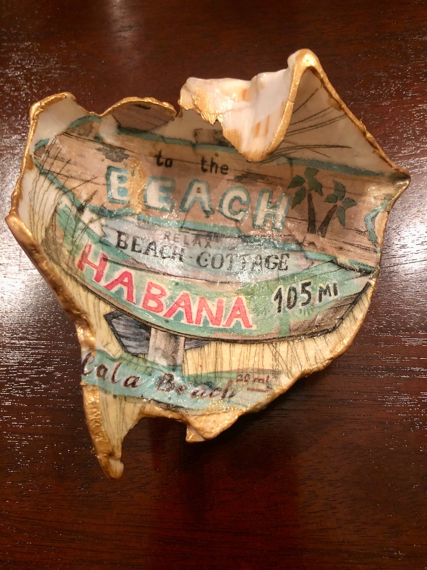 Conch Shell Trinket Dish